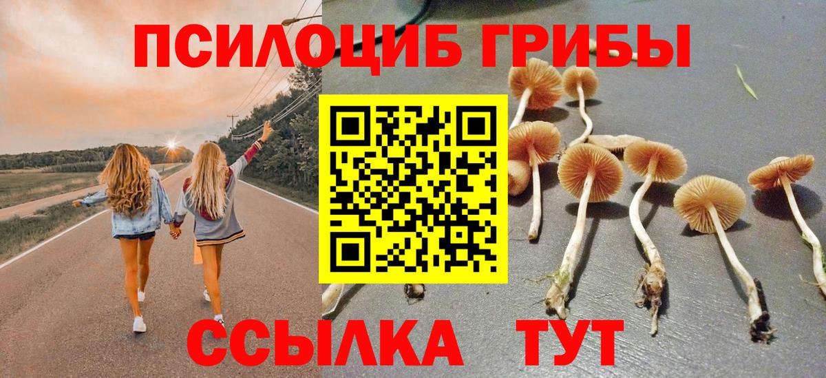 даркнет сайт  Вход с VPN  Галлюциногенные грибы мухоморы  Томск  Псилоцибиновые грибы мухоморы 