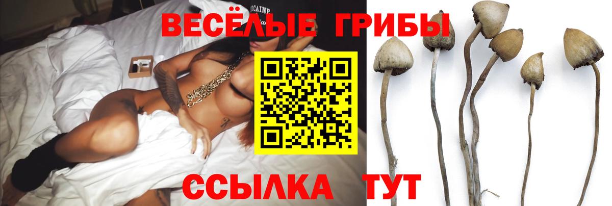 Галлюциногенные грибы мицелий Томск